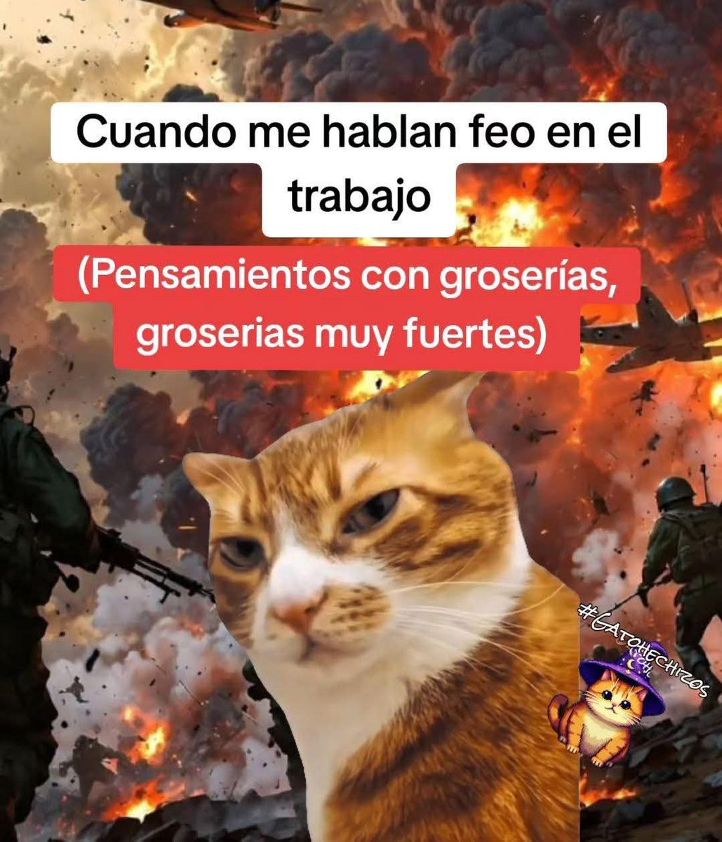 thememegirlsv's tweet photo. https://t.co/KWVvgXVvxB