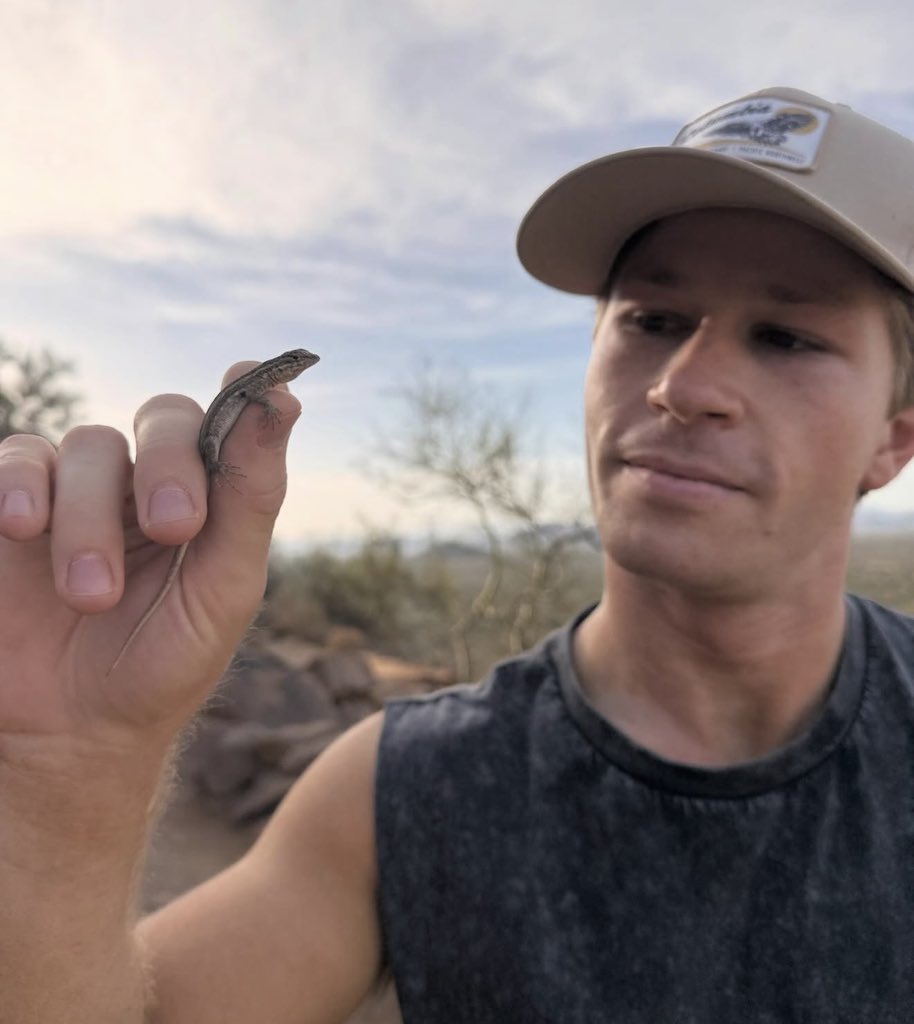 Robert Irwin tweet media
