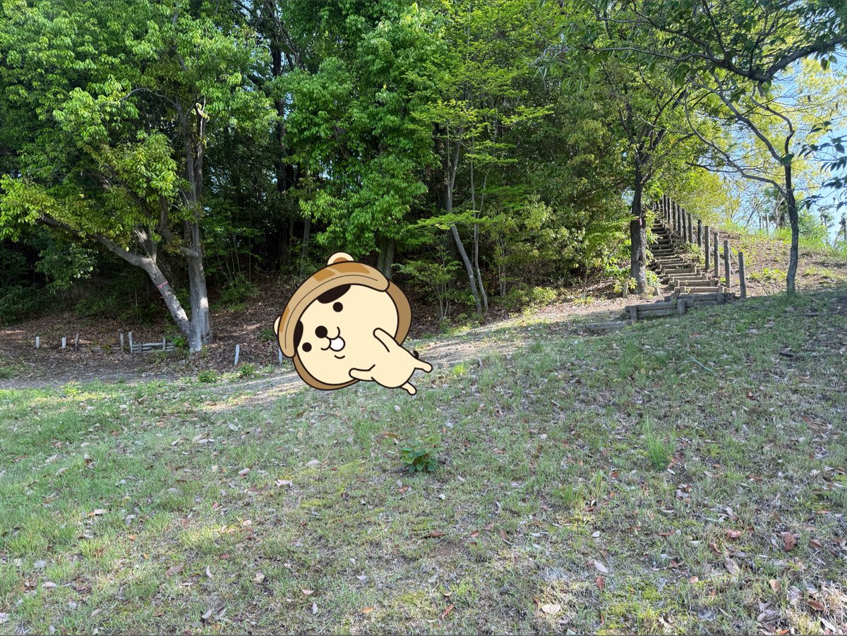 はまぐり犬 tweet media