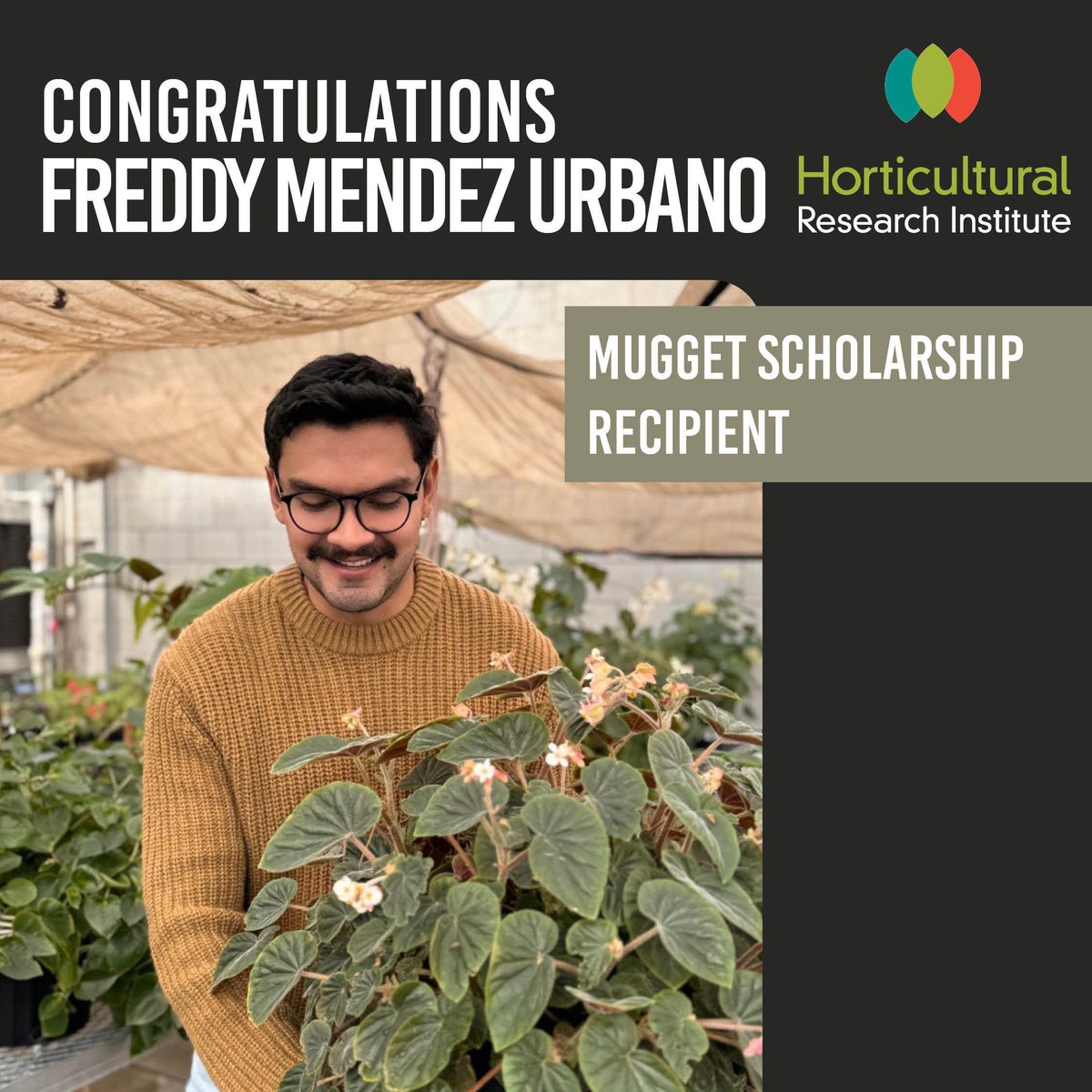 HortResearch's tweet photo. Freddy Mendez Urbano (Ohio State) has received the Mugget Scholarship through the HRI Scholarship Program. Freddy’s career goals include working in commercial horticulture systems where he can apply research-informed strategies to improve plant quality and production efficiency. https://t.co/585HUTf2xm