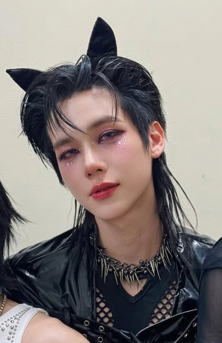 ohmkritty might be the most gorgeous cat i have ever seen in my life