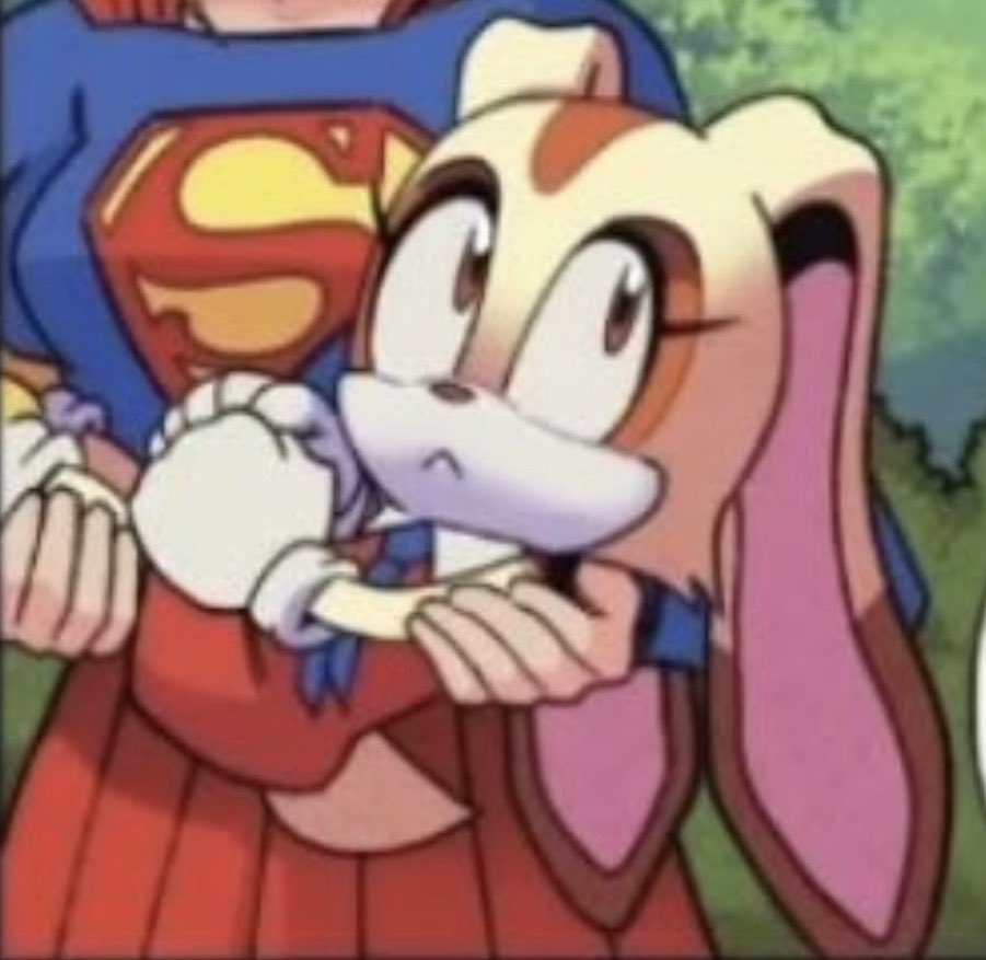 Princess Nikea The Rabbit🔜Sonic Expo Atlanta tweet media