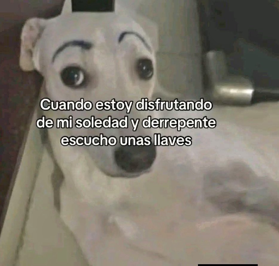 💫La de los Memes SV💫 (@the_memegirlsv) on Twitter photo 