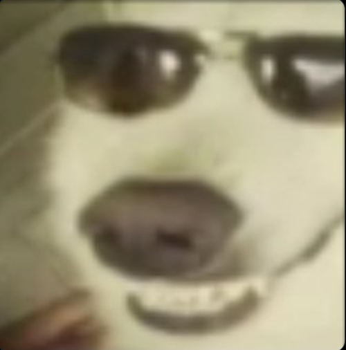 LiquidBlackpowder tweet media