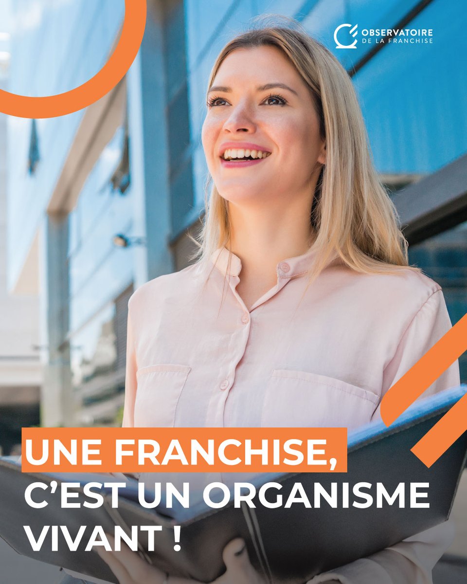Obsfranchise tweet media
