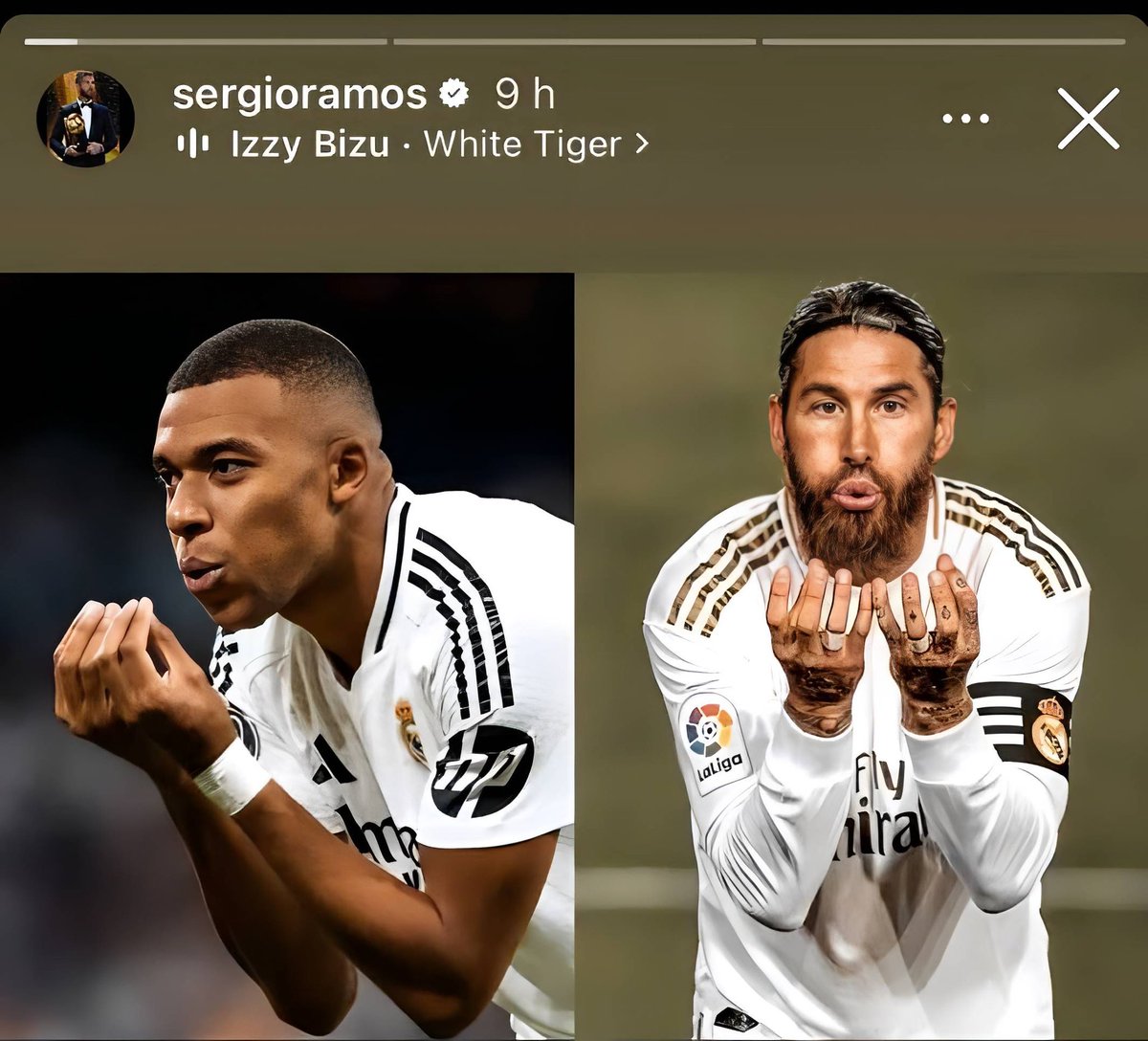 (𝐟𝐚𝐧) 🇵🇹 tweet media