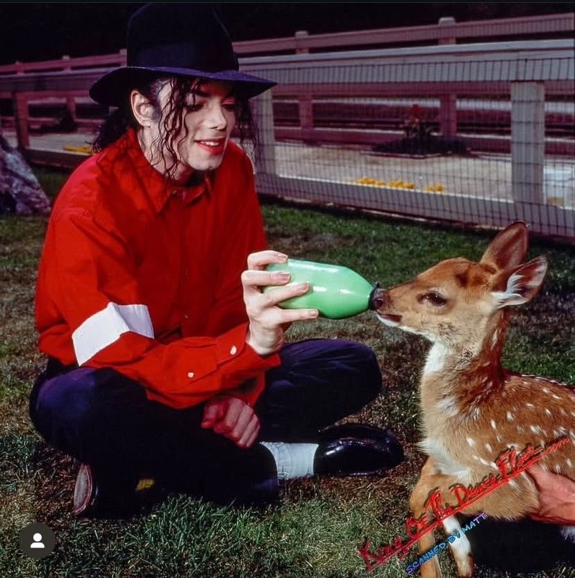 miles ꕤ tweet media