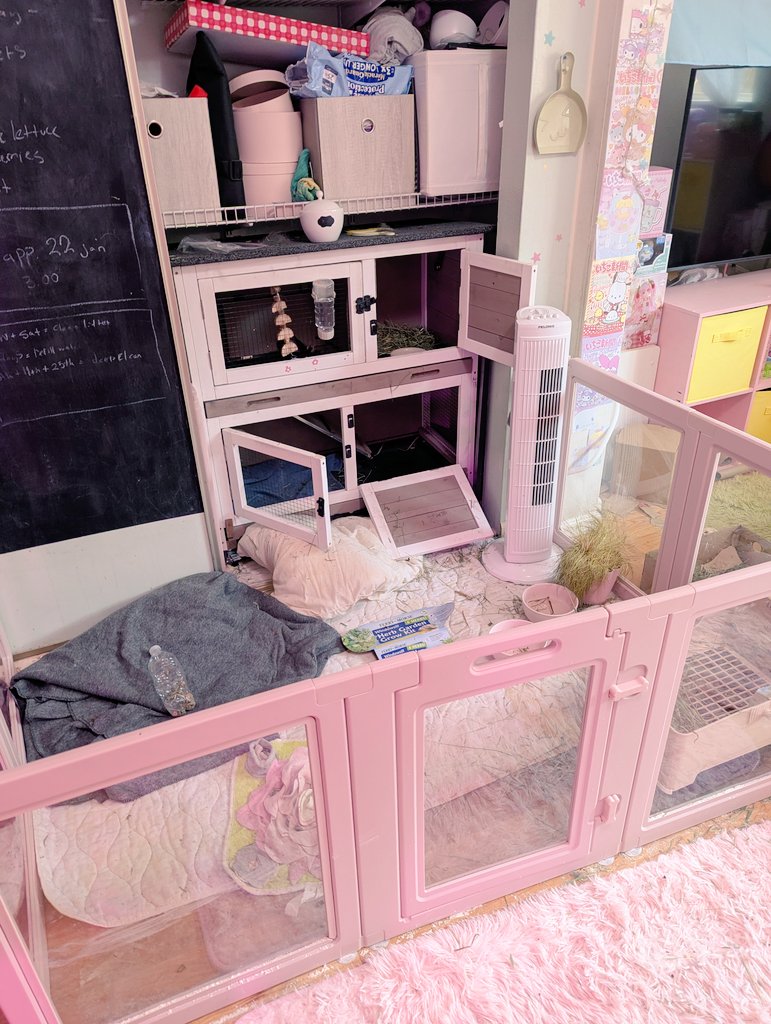 しばちゃんページ Shiba chan room tour !! ♡⁠(⁠˃͈⁠ ⁠દ⁠ ⁠˂͈⁠ ⁠༶⁠ ⁠) 🎀