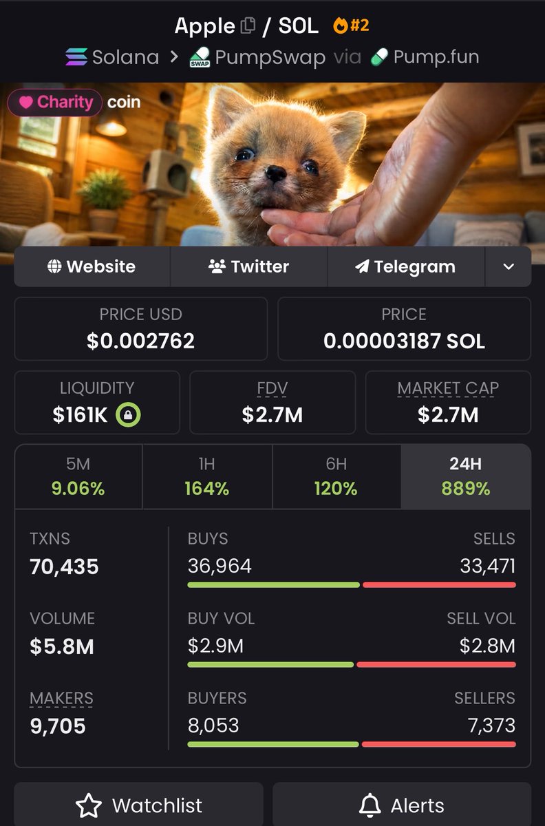 Degen 🎯Binxty🎰 tweet media