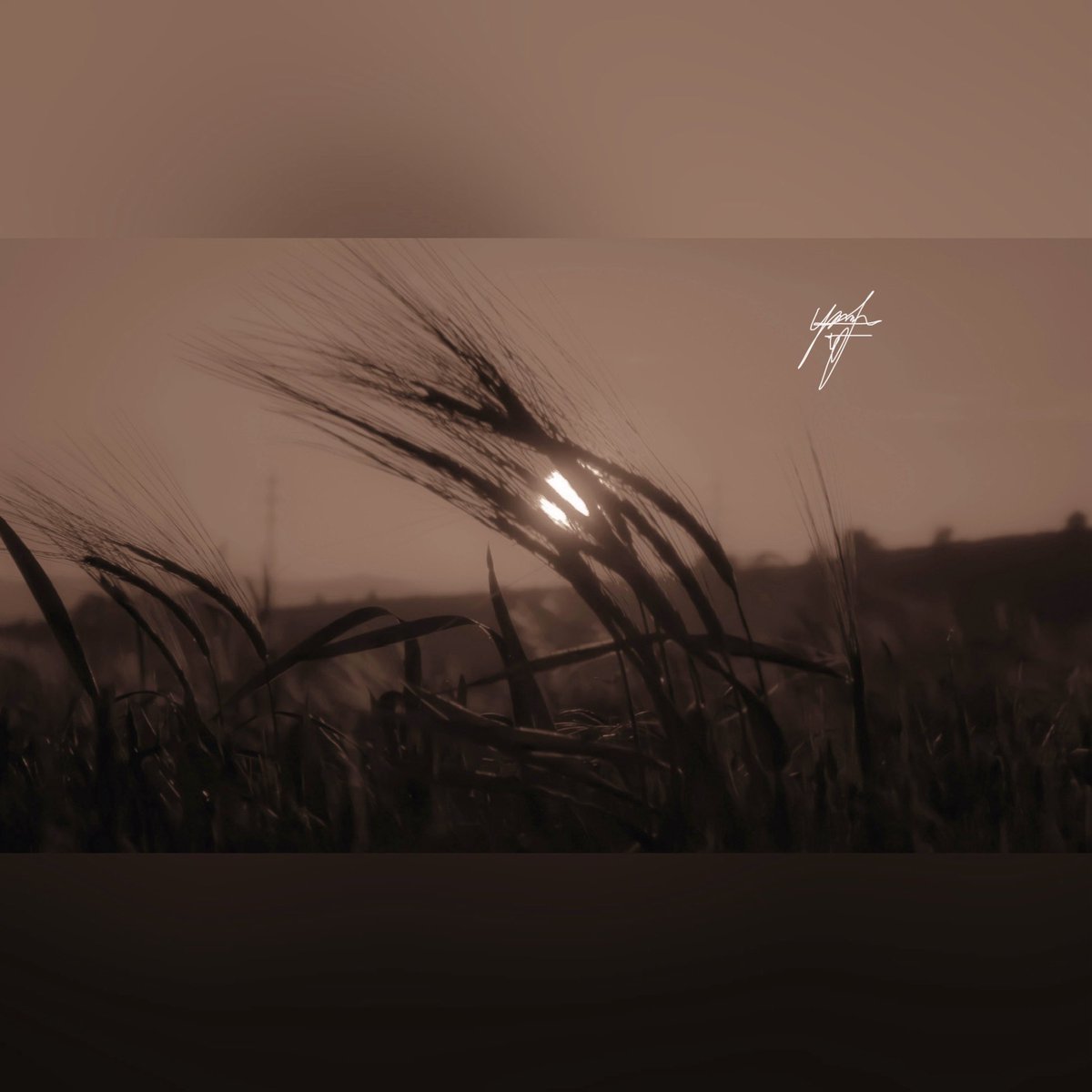 ygdaybey's tweet image. While daylight fades, emotions drift gently into the stillness of the moment.

#sunset #wheat #evening #instagram #shotoniphone 

Captured with 17 Pro Max.