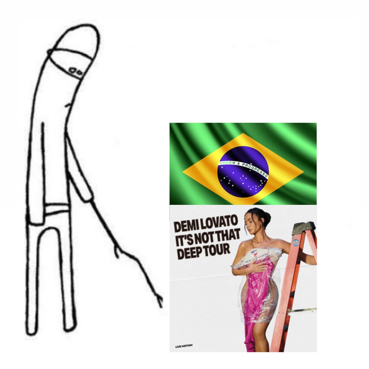 Demi Brasil tweet media