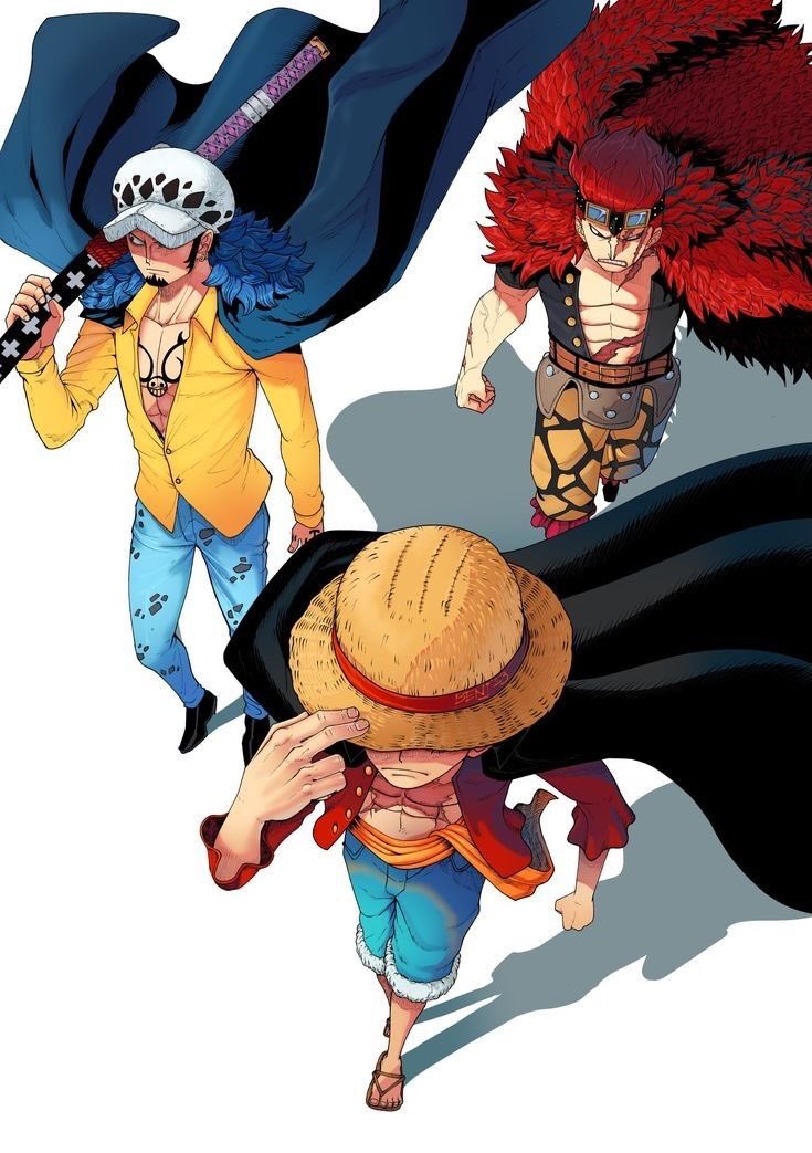 DailyKidLaw's tweet photo. Happy birthday Monkey D. Luffy!!!! https://t.co/0u1Ad6BTfr