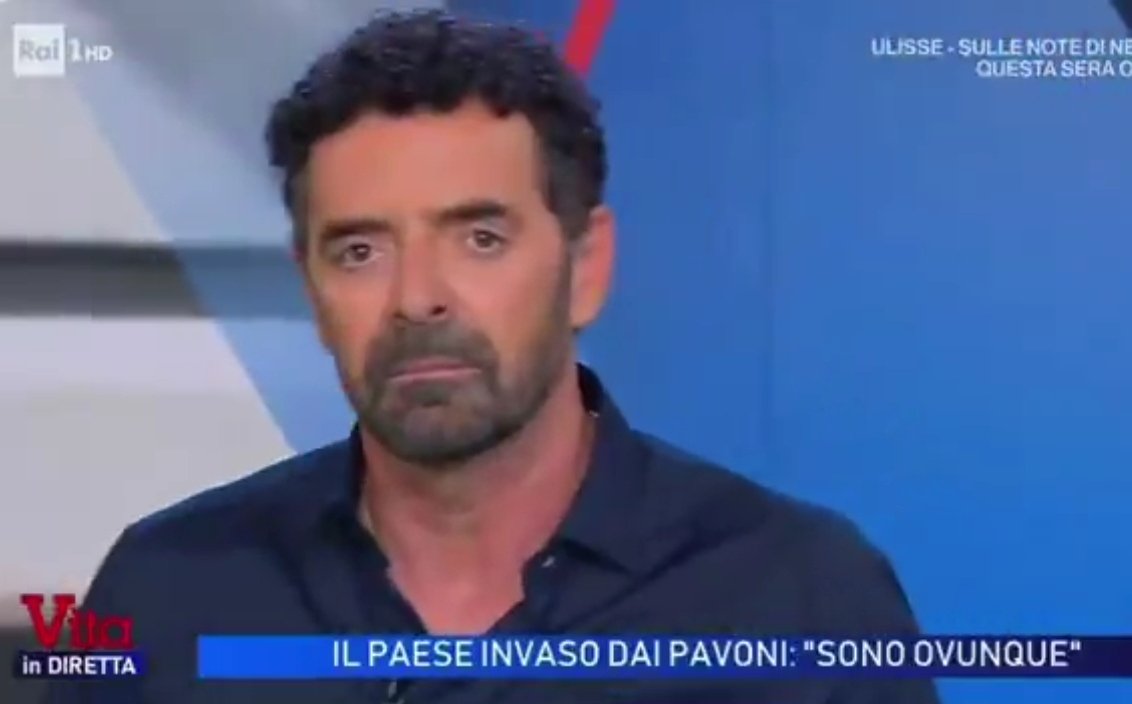 Il Vacinado tweet media