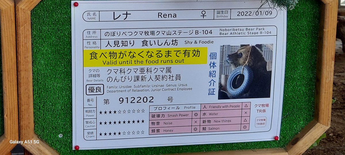 くまうさま専用ページ うさこウサギ様専用✩︎ 【公式通販】