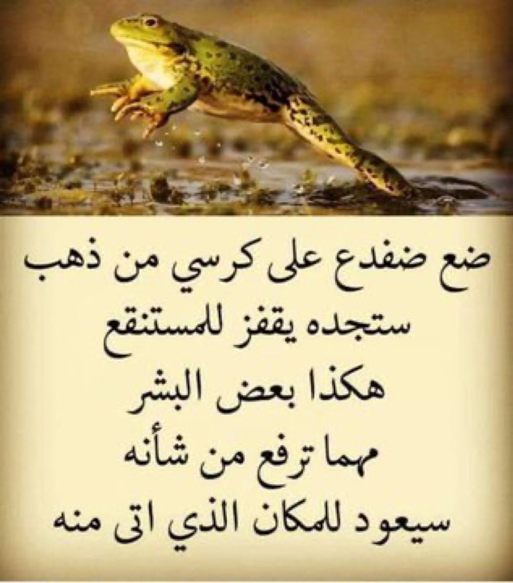 الجهني 🇸🇦 tweet media