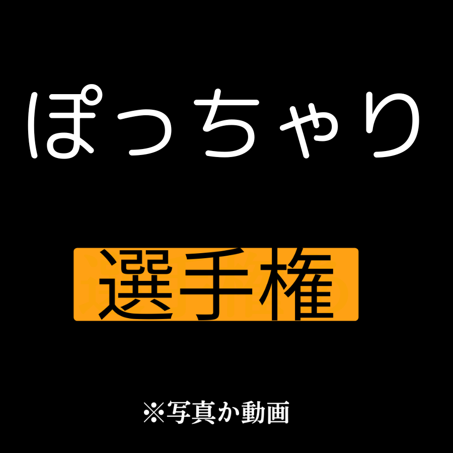 毎日が休日選手権 tweet media