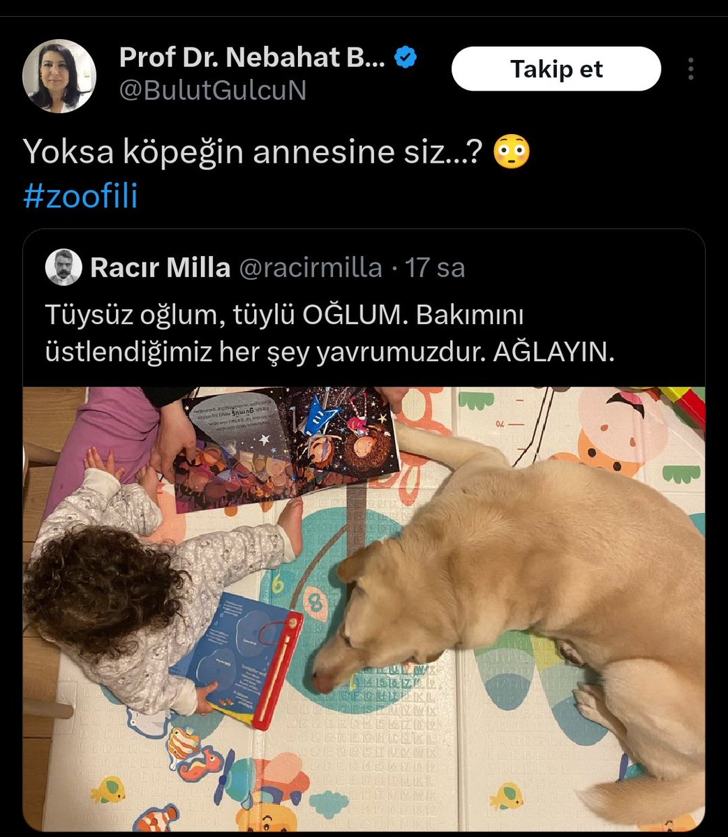 bencahilinsansevmiyorum tweet media