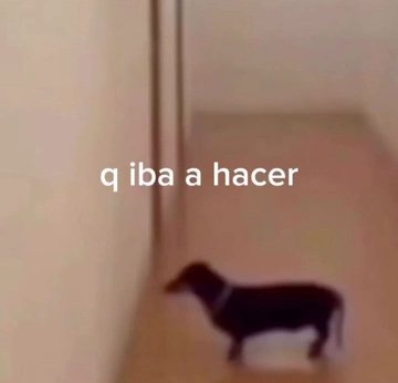 Salvador Iglesias Jr (@javisness) on Twitter photo 