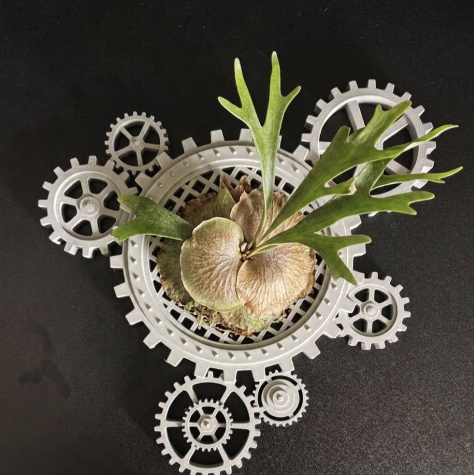 reina_136757's tweet image. blenderでモデリングした歯車⚙️壁掛けインテリア！
コウモリランなど着生植物用です🍀
これからメルカリで出品します！
リンク🔗を後ほど添付予定です🌳

 #インテリア  #3D  #3Dプリンター  #モデリング  #観葉植物  #b3d  #スチームパンク