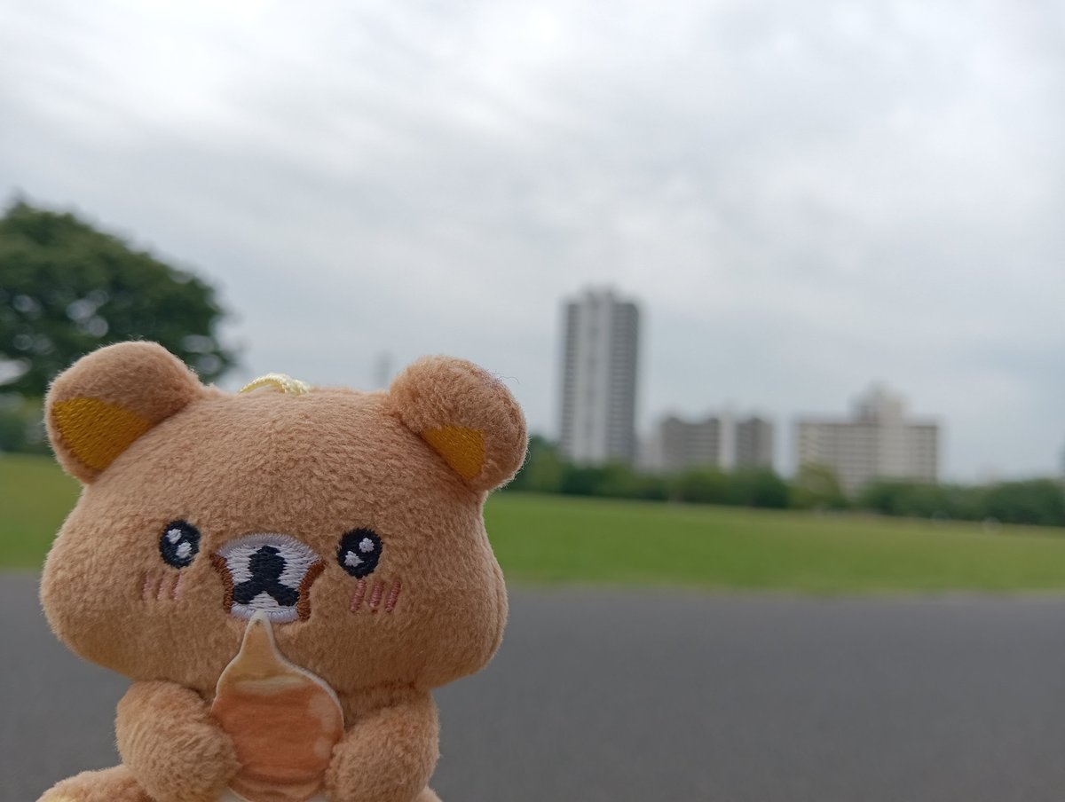 ぢゅんじゅんの日常 tweet media