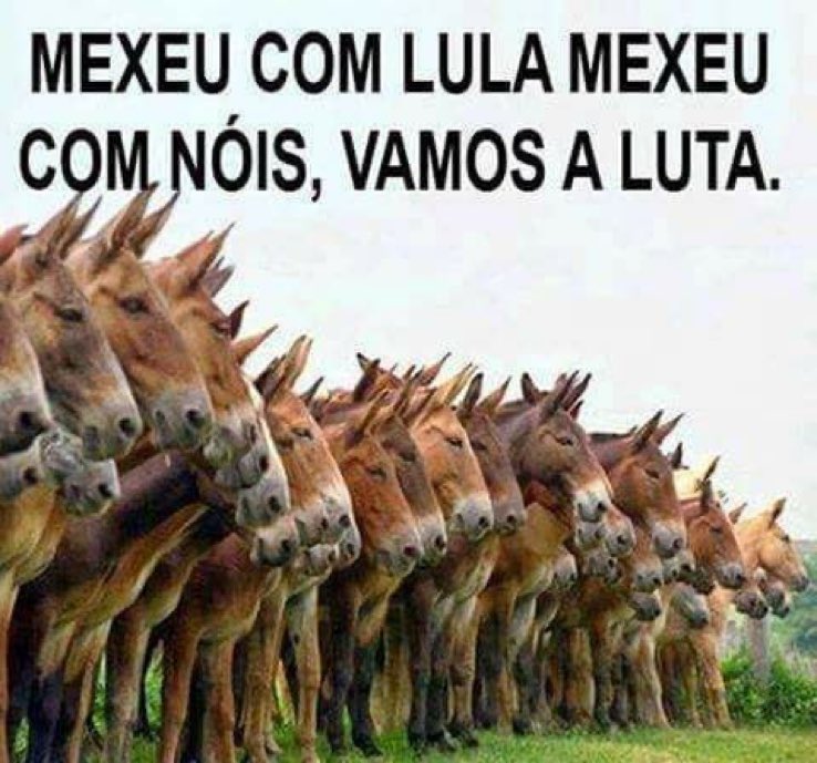Democracia Viva🗯️ (@democraciabr_ja) on Twitter photo 