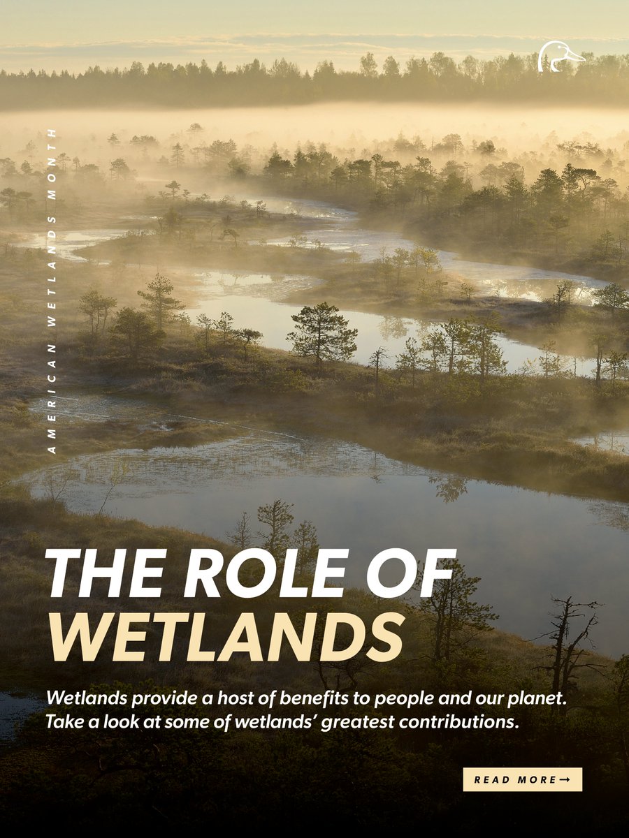 Ducks Unlimited tweet media