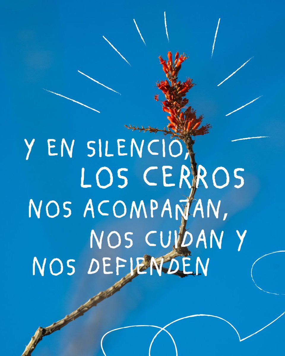 CClimaticas's tweet photo. ⛰️ Unos pocos poderosos dicen que allá en los cerros no hay nada porque quieren abrir paso a sus proyectos ecocidas y lucrar con tierras sagradas. Sólo basta deternos un poco a mirar, escuchar y respirar para que toda la vida aparezca. https://t.co/6IOOBOeCb5