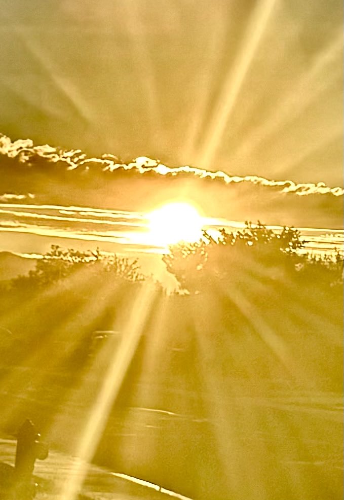 jonimarielew's tweet image. #sunset #clouds #Nevada #skies #desert #trees #golden