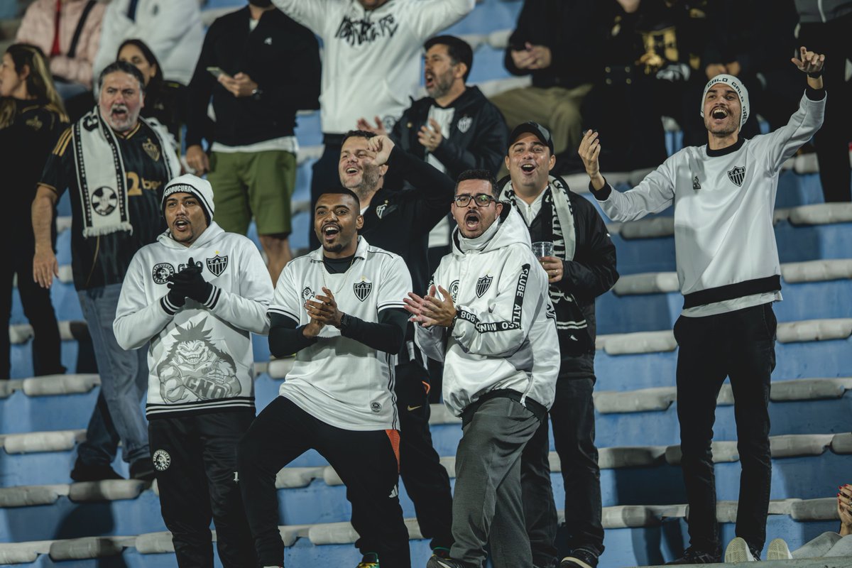 Galo Na Veia tweet media