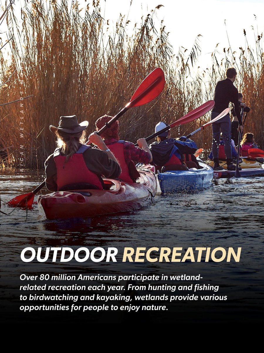 Ducks Unlimited tweet media