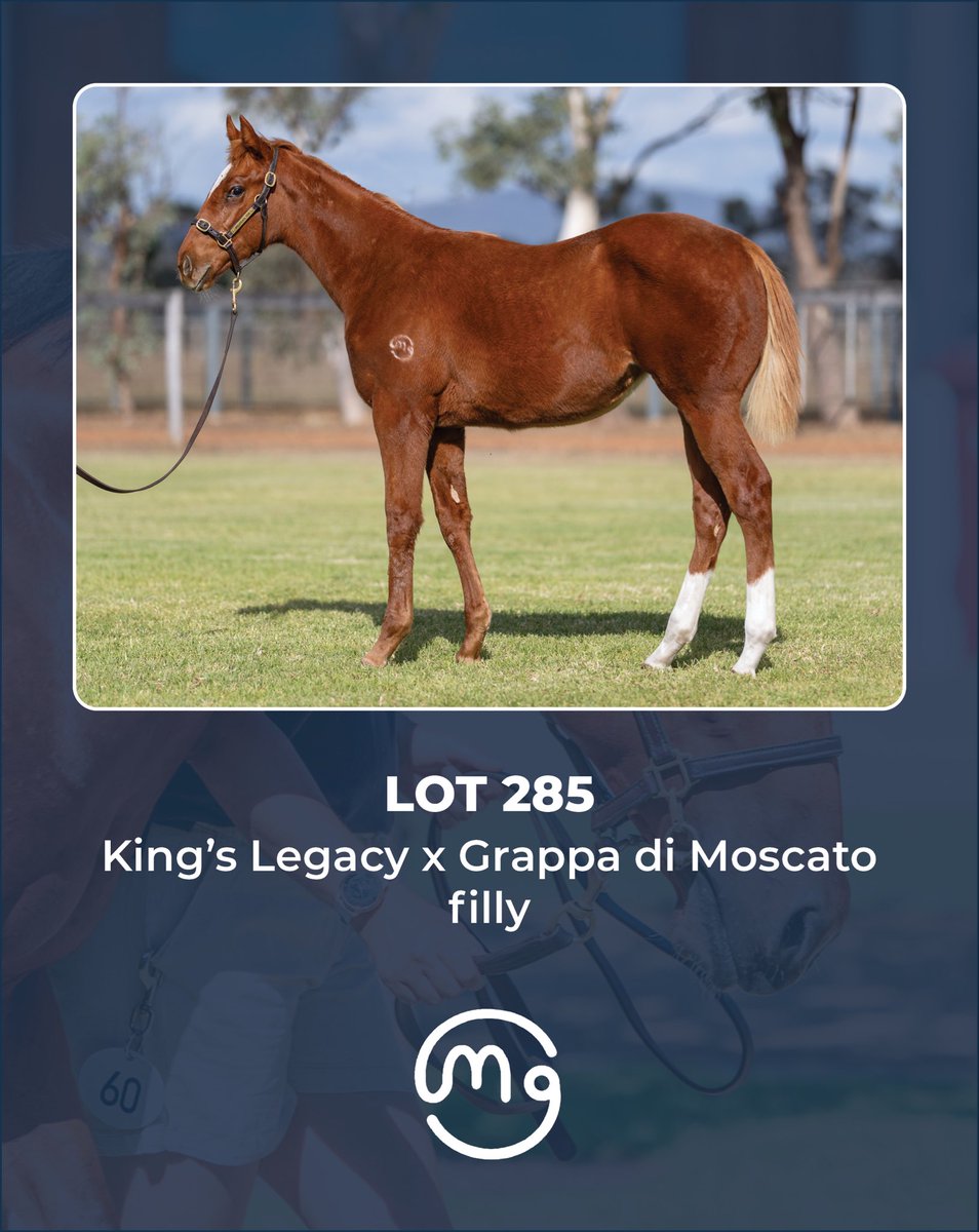 Mullaglass Stud tweet media