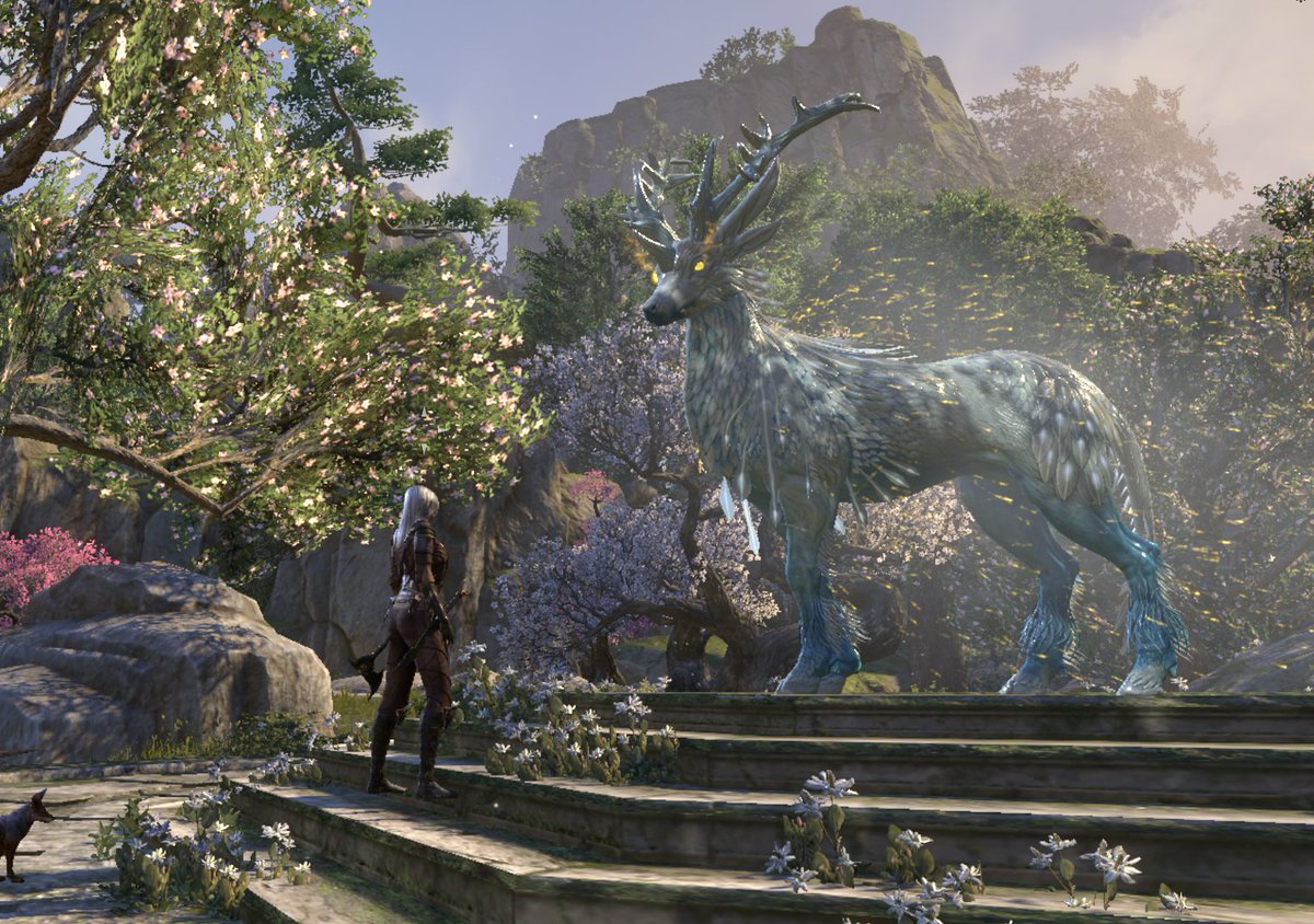 AthenaHighwind's tweet photo. Just played this amazing quest in @TESOnline!  Am really loving the game so far and the community I am starting to build in it <3 Any ESO players out ther that wanna be friends? https://t.co/nI1vb56xCA