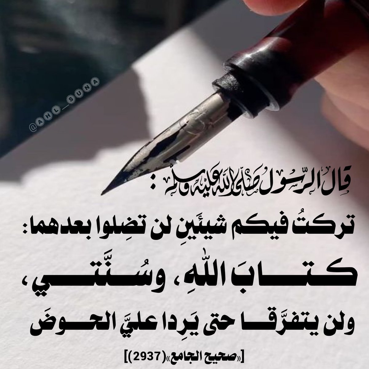 درر سلفية tweet media