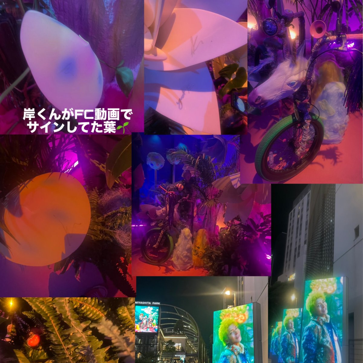 ヒロ💜KC ᶫᵒᵛᵉ♡② tweet media
