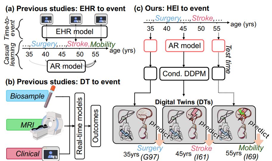 dan_tingting's tweet photo. 🧬 Excited to share our paper, "Marrying Generative Model of Healthcare Events with Digital Twin of Human-Environment Interaction for Disease Reasoning", accepted at #ICML2026!

Most generative models for disease prediction learn from electronic health records alone, sequences of ICD codes that capture "what" happened, but not the underlying physiology driving "why". We propose DiffDT to bridge this gap, since imaging traits, plasma biomarkers, and organ-level measurements are the actual biological signals clinicians reason over.

DiffDT is a conditioned latent diffusion framework that connects multi-organ sensor data with tokenized healthcare events, letting an autoregressive model mediate through a sensor-derived physiological state, a digital twin, rather than directly from event history.

A few things we're proud of:

🔗 A mediation inference mechanism, P(Future | Biomarker) · P(Biomarker | History), that enables multi-pathway disease reasoning rather than direct event-to-event prediction.
🧠 A geometric diffusion model for brain functional connectivity, which lives on the Riemannian manifold of SPD matrices. We use Cholesky decomposition in a VQ-VAE (SPD-VQVAE) to keep generations on the manifold while dramatically reducing the O(N³) cost of standard SPD approaches to O(N³).
📊 Validated for multi-organ biomarkers across heart, liver, and kidney from UK Biobank: 44,834 brain, 23,987 heart, 28,722 liver, and 32,155 kidney imaging samples, with ~500k medical history sequences spanning ages 25–89. DiffDT outperforms state-of-the-art autoregressive disease models and imaging-trait baselines, with the largest gains on the hardest cases, semantically distant past-future disease pairs where multi-pathway causality dominates.

https://t.co/8fxk7lBq9r

Congrats @ZiquanWei. See you in 2026!

#ICML2026 #MachineLearning #DigitalTwin #GenerativeAI #HealthcareAI #DiffusionModels #UKBiobank