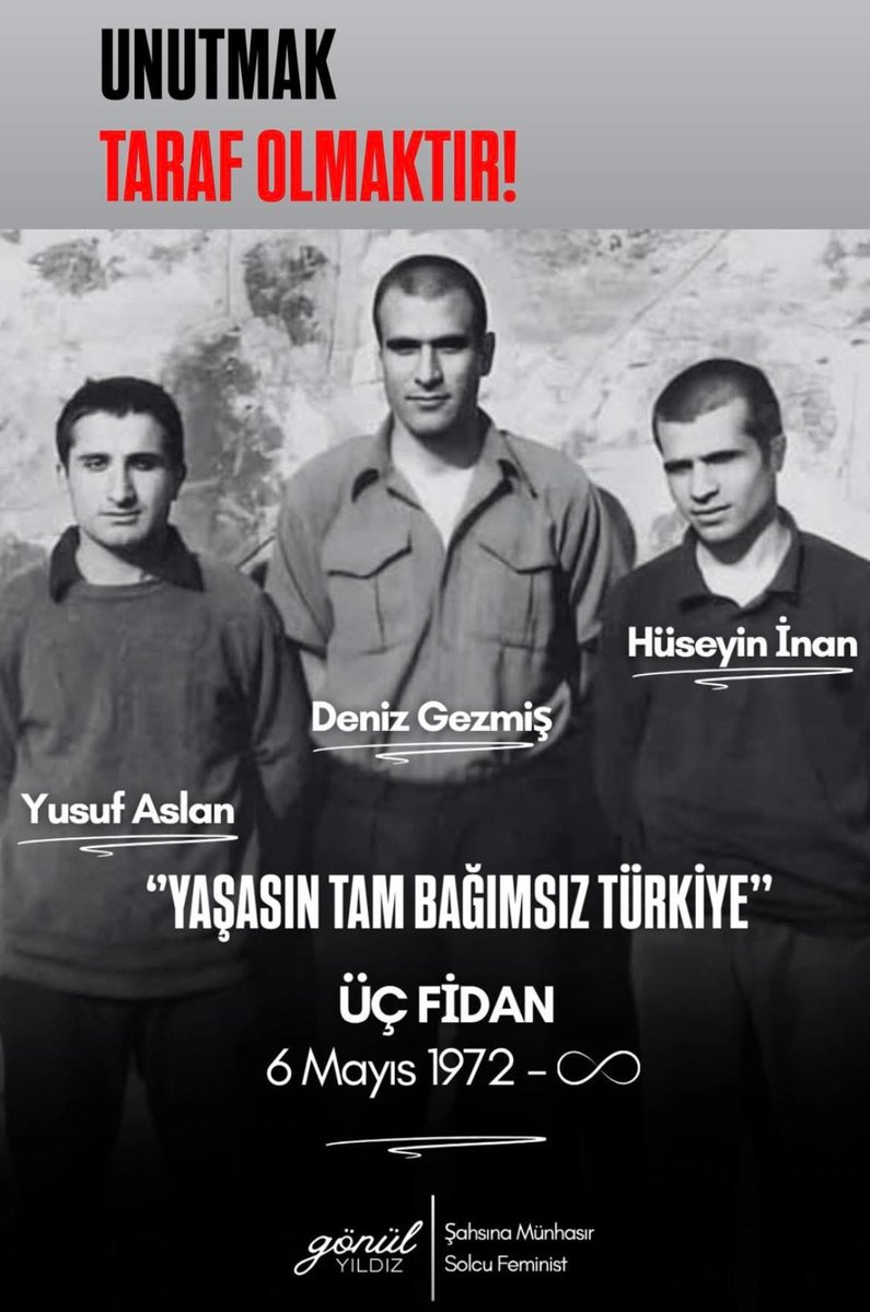 Gönül Yıldız tweet media