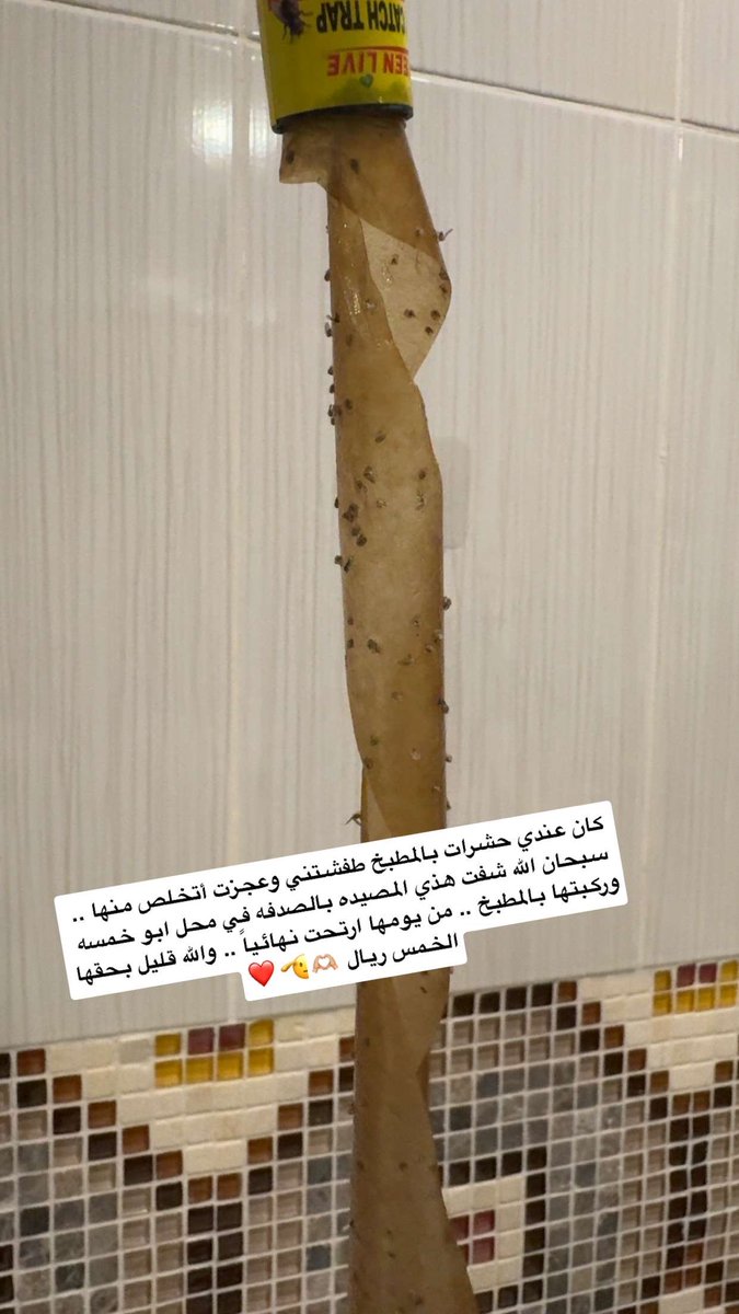 AQEELO tweet media