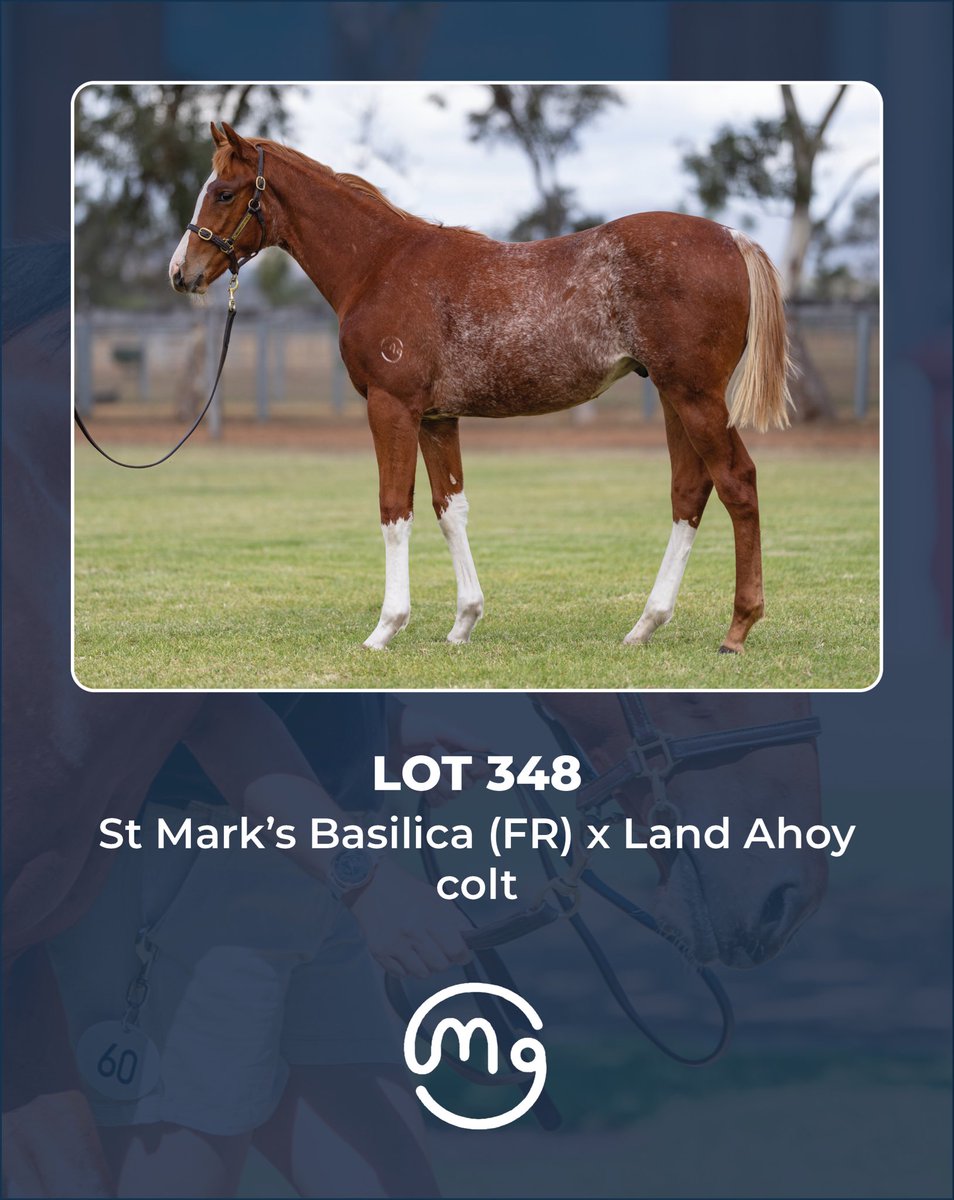 Mullaglass Stud tweet media
