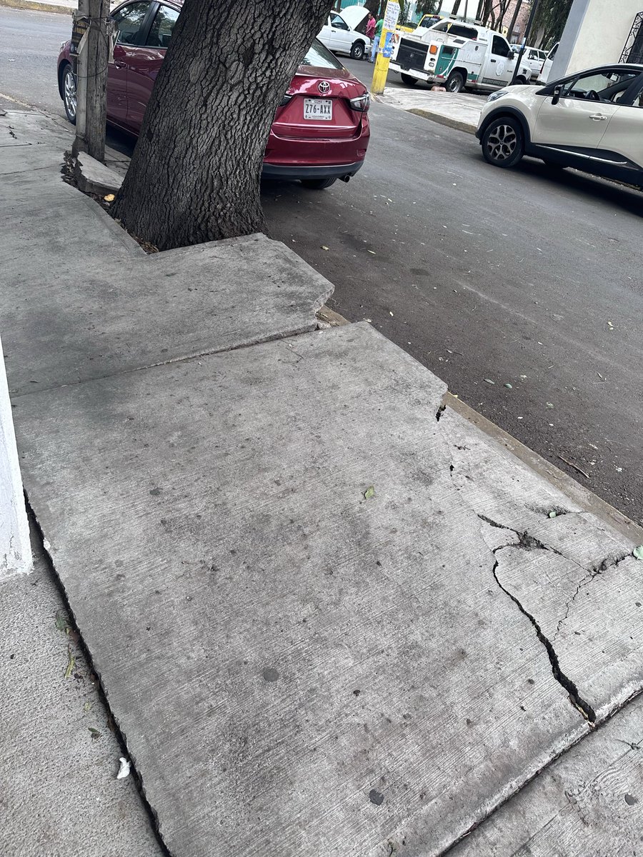 magalaaa3's tweet photo. Nos pueden ayudar en venir y valorar este árbol, en Col.Sector Popular, calle sur 97 esquina Alfonso toro, las raíces ya están afectando las entradas de los estacionamientos y entrada al edificio @Alc_Iztapalapa @SGIRPC_CDMX https://t.co/es5sKv5cbM