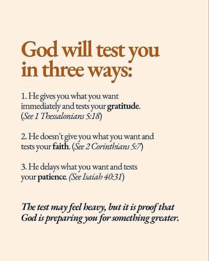 Bible 365 tweet media