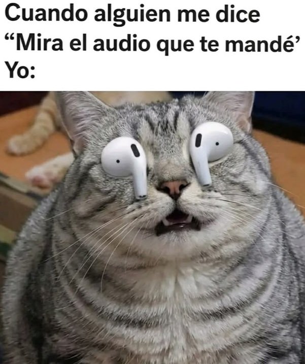 Yamileth. tweet media