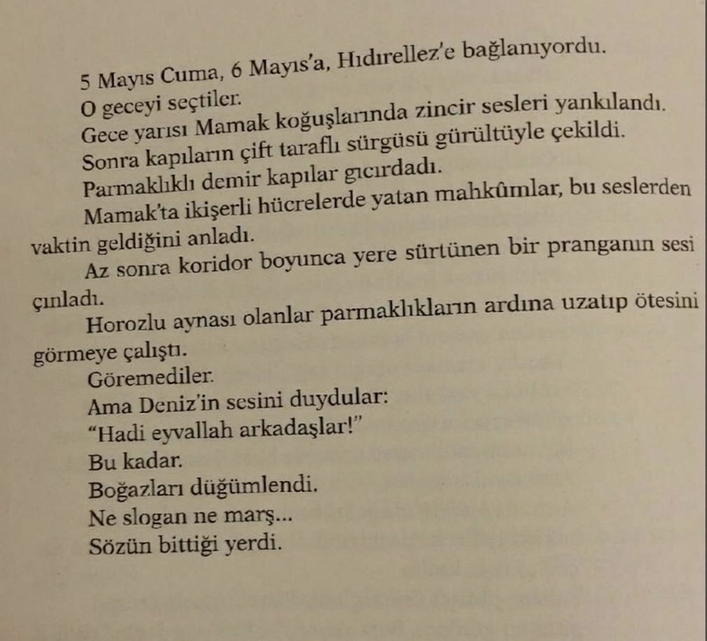 komün prensesi tweet media