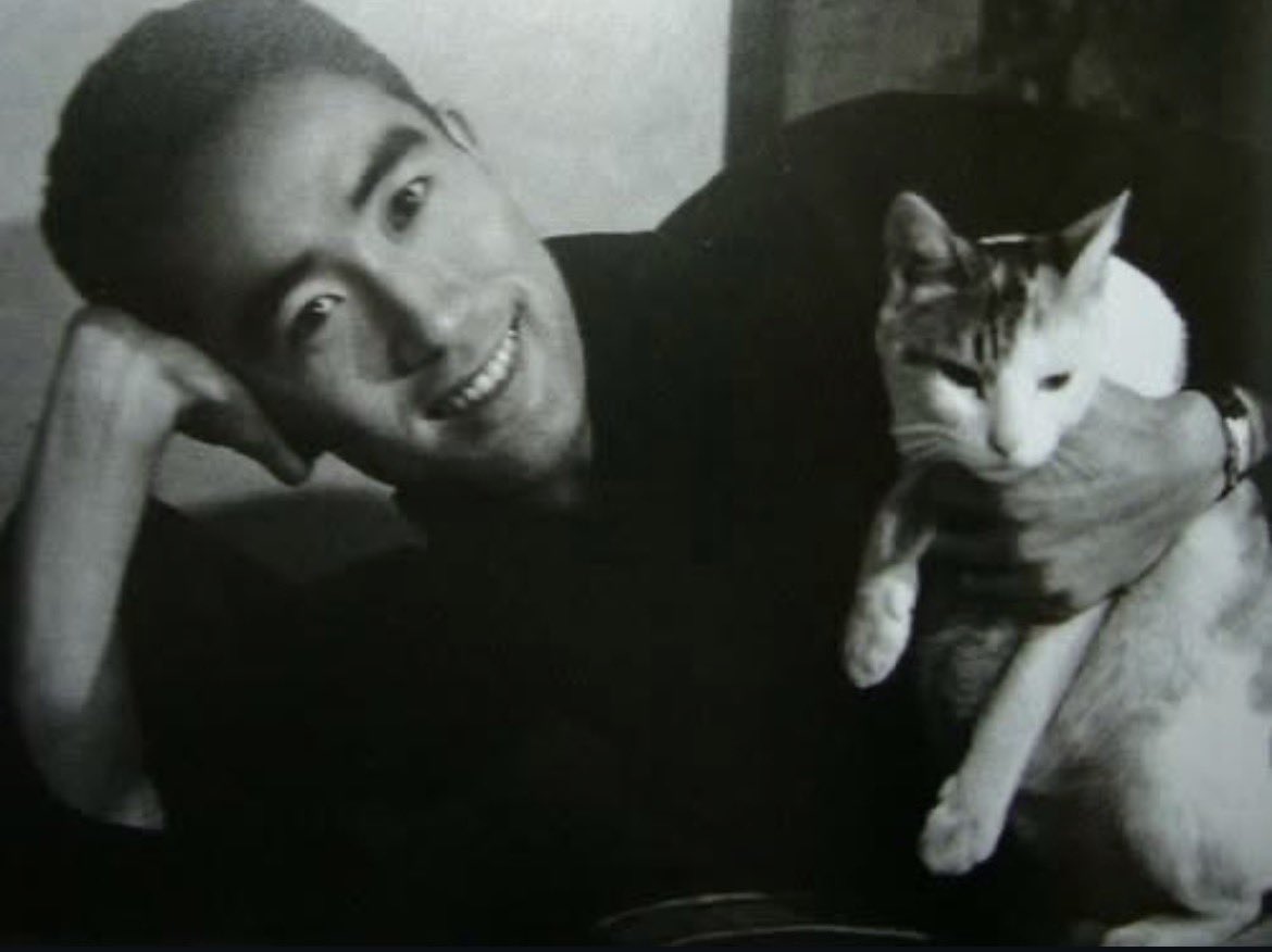 _theorycel's tweet photo. 😀🐱 https://t.co/LGPc5tfGWw