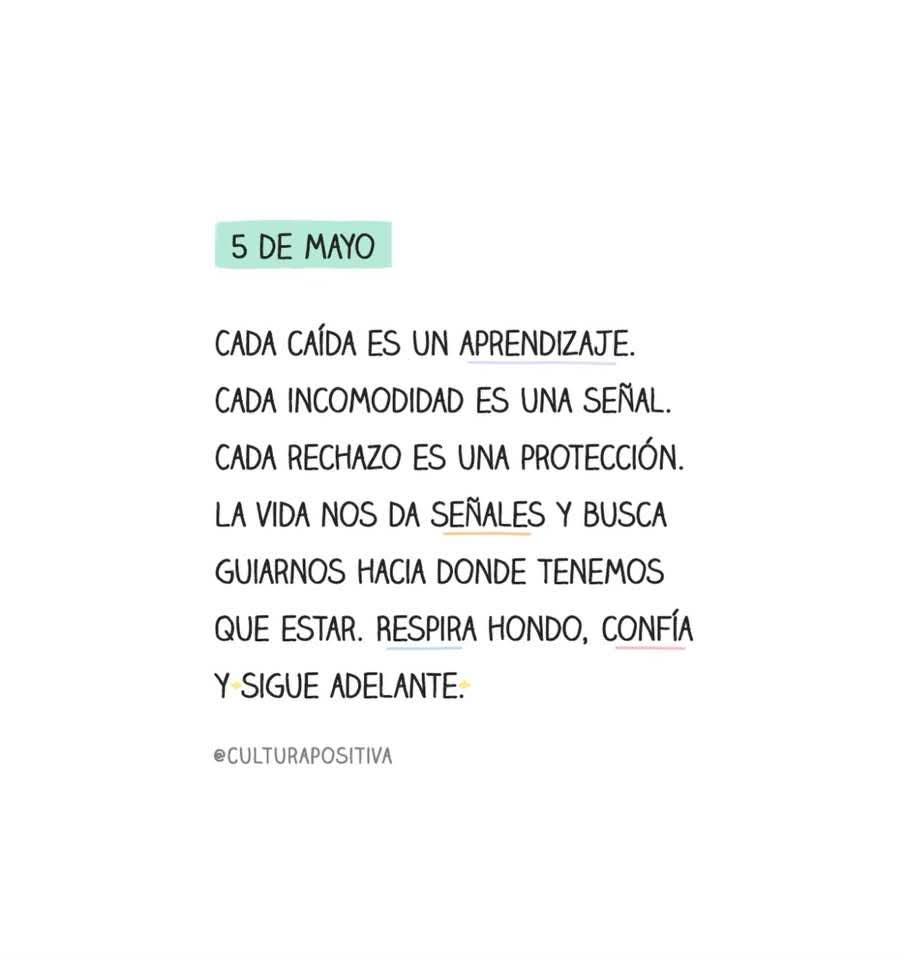 Rosita Magaña tweet media