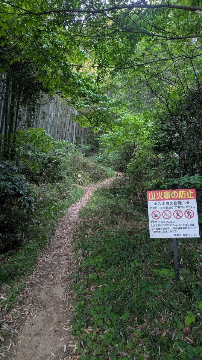 食べノリ®︎＠飲むために山登ります🏔 tweet media