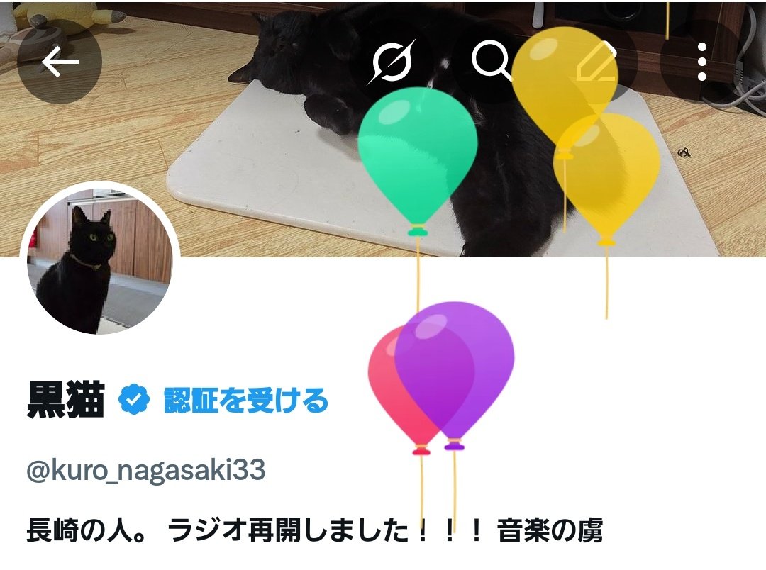 黒猫 tweet media