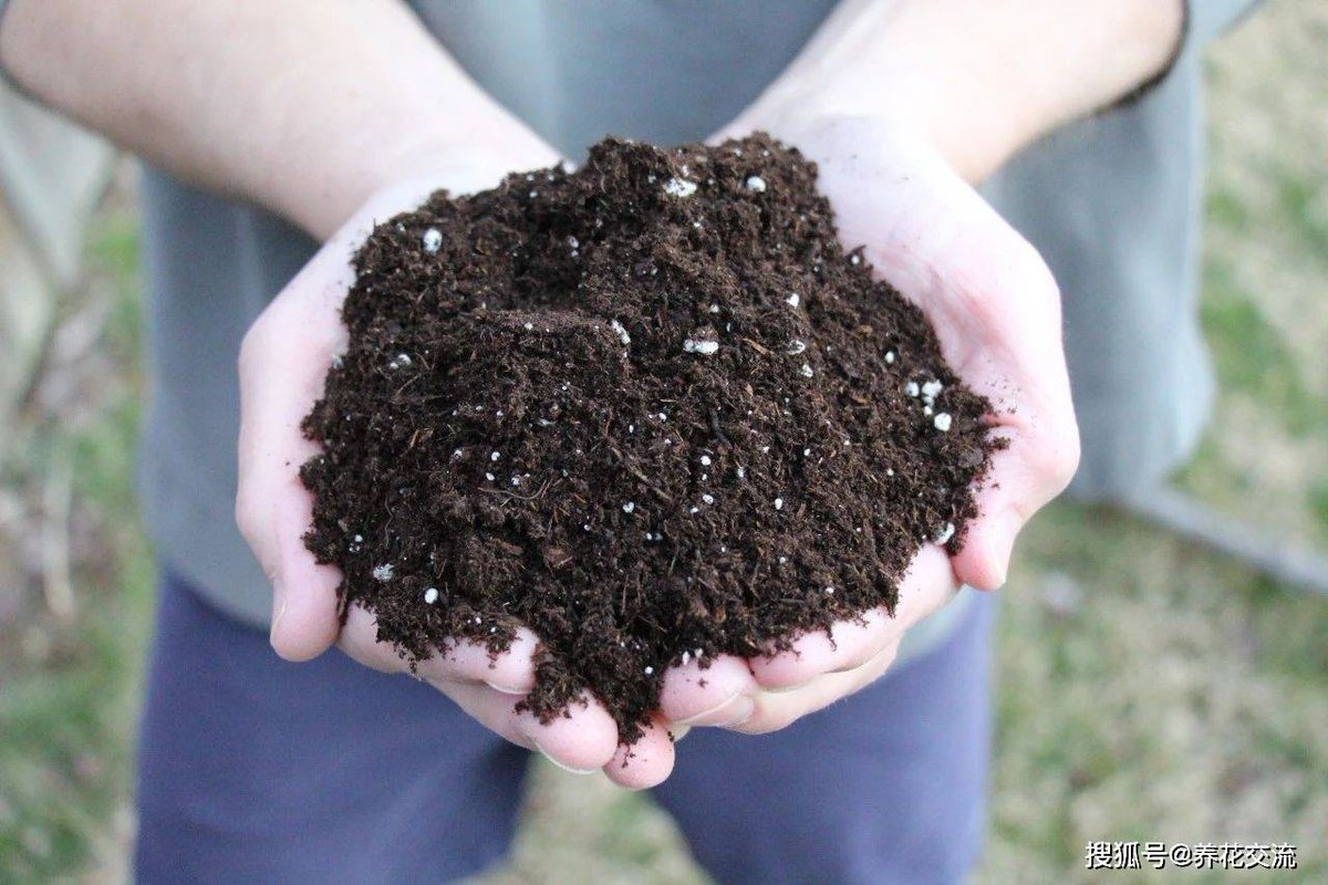 adeolasanni2015's tweet image. DIY a mini herb garden in 5 mins! Grab a tin can, poke drainage holes, add soil + seeds. Watch your greens grow—perfect for kitchen hacks or decor  #DIYCrafts #HerbGarden #EasyDIY