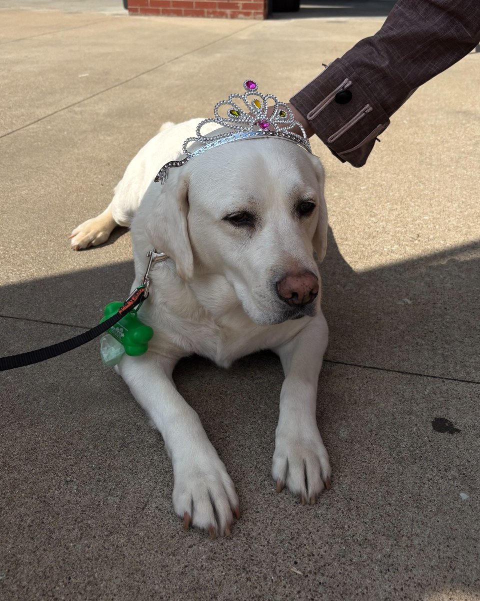 HotRodsTurbo's tweet photo. see y'all at tailwaggin' tonight 🤭

🎟️ : https://t.co/V72esq0SRe https://t.co/nCbs36vDiR