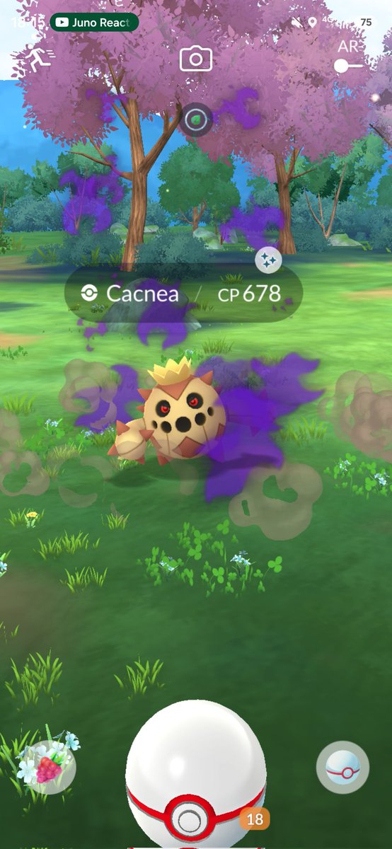 adam_wee1's tweet image. Team rocket being very generous ✨️ 

#ShinyPokemon 
#pokemongo
