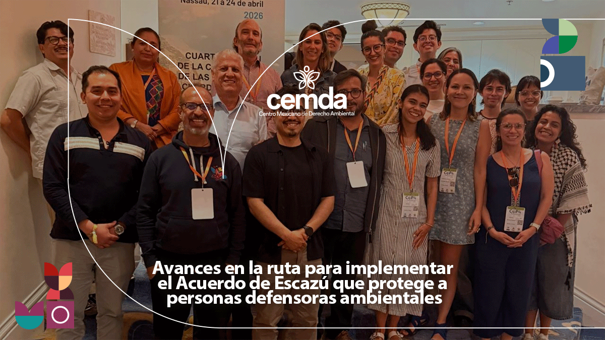 CEMDA tweet media